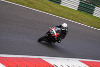 Lower Group Black Bikes